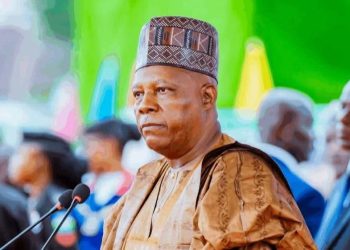 Reject Ethnic Profiling, Religious Hatred, Shettima Tells Nigerians