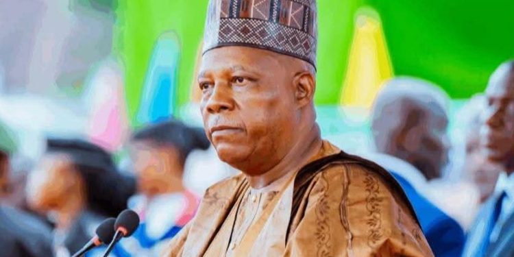 Reject Ethnic Profiling, Religious Hatred, Shettima Tells Nigerians