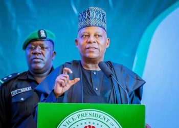 Shettima Urges Nigerians to Strengthen Bond of Unity