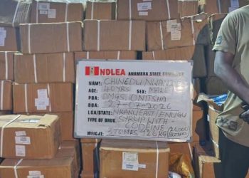 NDLEA Intercepts China, Italy-bound Cocaine in Lagos, Nabs Bandits’ Supplier in Zamfara