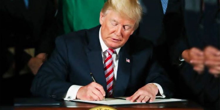 Trump Signs New Executive Orders to Limit U.S. Birthright Citizenship, Block ‘Birth Tourism’