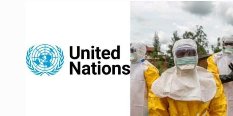 Ebola Killed 300 Children in DR Congo, Says UN