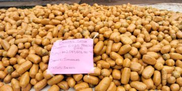 Nigerian Customs Seizes Cannabis Sativa Worth N2bn in Ogun