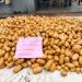 Nigerian Customs Seizes Cannabis Sativa Worth N2bn in Ogun