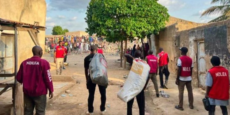 80 Residents Nabbed During Raids of Illicit Drug Joints in Kano
