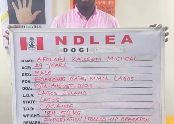 NDLEA Busts Cocaine Cartel, Arrests Social Media Influencer KC Luxury in Lagos