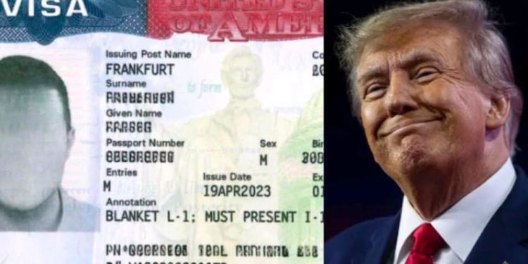 U.S. Judge Strikes Down Trump’s Visa Ban for Nigerians, 74 Other Nations