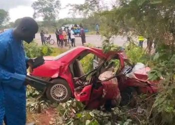 Seven Passengers Killed in Niger Road Crash