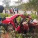 Seven Passengers Killed in Niger Road Crash