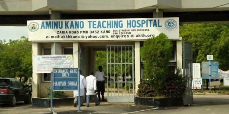 Aminu Kano Hospital Introduces IVF Service for Childless Couples