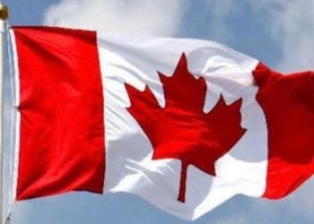Canada Announces Recruitment of Nurses, Dentists, Pharmacists, Psychologists from Nigeria, Other Nations