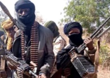 Ex-Colombian NSA Advises Nigeria On How to End Banditry in Zamfara