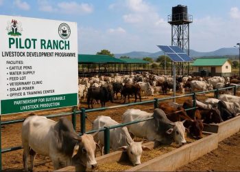 FG Inaugurates First National Pilot Ranching Programme in Adamawa