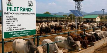 FG Inaugurates First National Pilot Ranching Programme in Adamawa