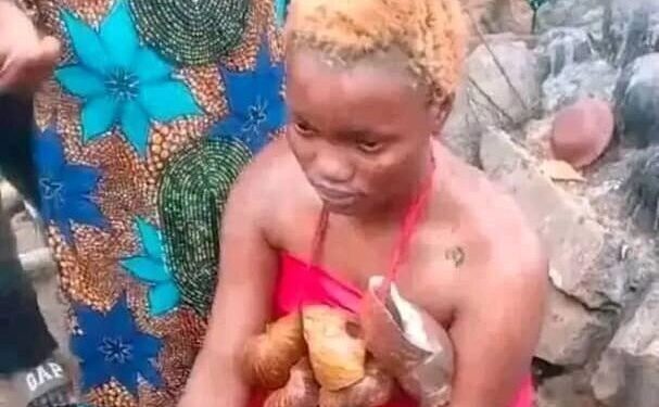 TikToker Olalere Speaks After Oloolu Controversy as Ibadan Traditionalists Warn Against Taboo Violations