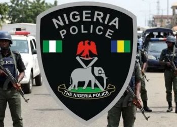 Review of Police Officers’ Salaries Underway–FG