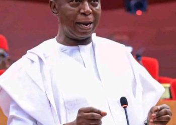 International Youth Day: Nwoko Urges Youths to Remain Ambitious, Resilient