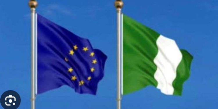 EU Allocates €2.3 Million to Fight Cholera Outbreak in Nigeria, Cameroon, CAR, Chad