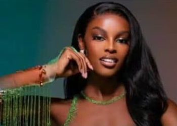 South African Court Adjourns Ruling in ex-Miss Universe Nigeria Chidimma Adetshina Deportation Case Until 2027