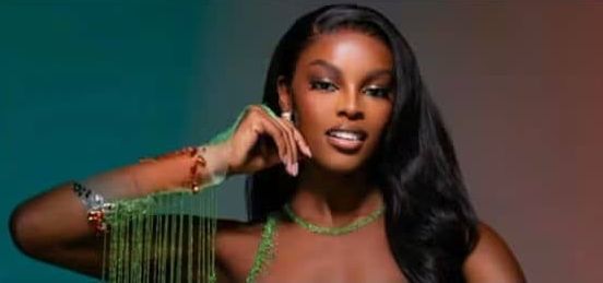 South African Court Adjourns Ruling in ex-Miss Universe Nigeria Chidimma Adetshina Deportation Case Until 2027