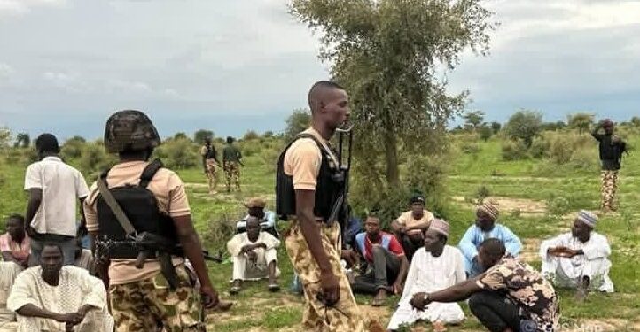 Troops Thwart Kidnap Attempt in Borno, Free 31 Victims, Recover Four Vehicles 