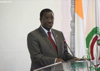 ‎Ouédraogo, Njai Demand Transparent Elections, Stronger Internal Democracy in African Parties ‎