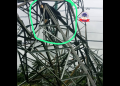 Suspected Power Infrastructure Vandal Found Dead Under Collapsed TCN Tower in Delta ‎