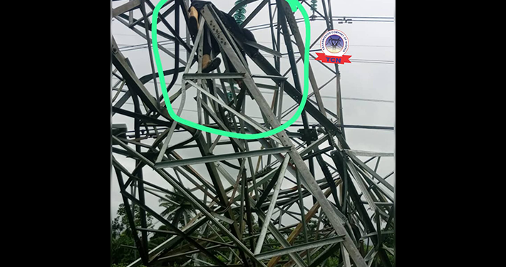 Suspected Power Infrastructure Vandal Found Dead Under Collapsed TCN Tower in Delta 