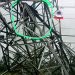 Suspected Power Infrastructure Vandal Found Dead Under Collapsed TCN Tower in Delta ‎