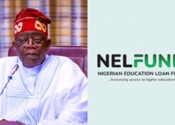 Tinubu Orders Diversion of Recovered Looted Funds to NELFUND