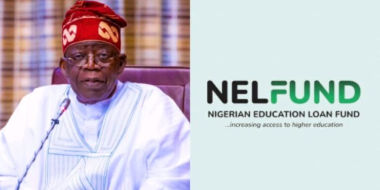 Tinubu Orders Diversion of Recovered Looted Funds to NELFUND