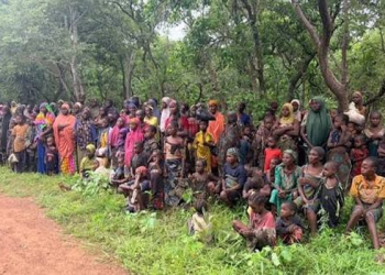 ‎Military Frees 363 Kidnap Victims, Arrests Terror Suspects in Nationwide Operations ‎
