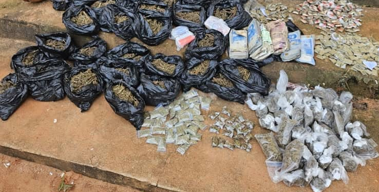 Police Arrest Two Suspected Drug Dealers in Anambra, Recover ₦6.2m Drugs