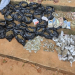 Police Arrest Two Suspected Drug Dealers ‎in Anambra, Recover ₦6.2m Drugs