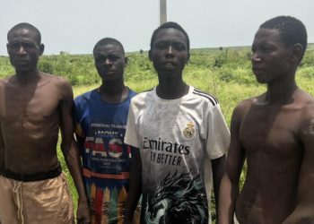 ‎Hostages Held by Terrorists in Kebbi, Zamfara, Sokoto Freed