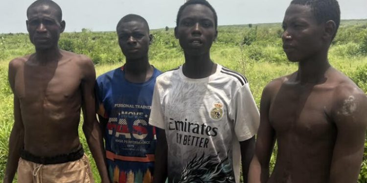 ‎Hostages Held by Terrorists in Kebbi, Zamfara, Sokoto Freed