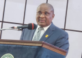 Insecurity Could Undermine Nigeria’s Creative Sector, Says AANI