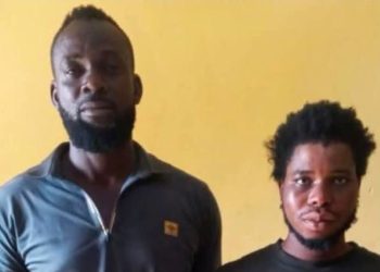 Security Agents Kill Suspected Kidnappers, Rescue Two Men Abducted on Lagos Farm