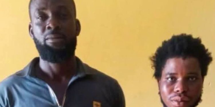 Security Agents Kill Suspected Kidnappers, Rescue Two Men Abducted on Lagos Farm