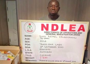 NDLEA Nabs Convicted Businessman Behind Cocaine Shipments to Saudi Arabia