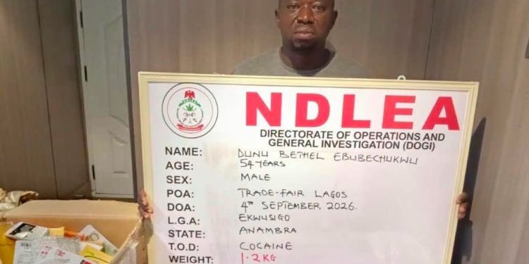 NDLEA Nabs Convicted Businessman Behind Cocaine Shipments to Saudi Arabia