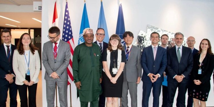 Nigeria Assumes Leadership of UN Peacekeeping Committee