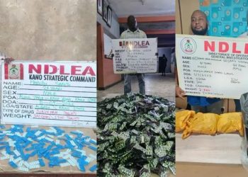 NDLEA Seizes UK-bound Cannabis, Drugs Hidden in Bread, Speakers