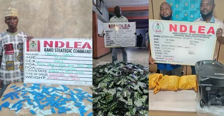 NDLEA Seizes UK-bound Cannabis, Drugs Hidden in Bread, Speakers