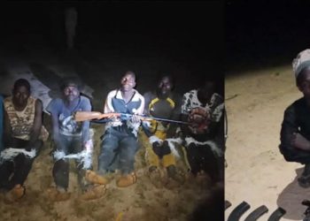 Boko Haram Terrorist Surrendered in Borno, Six Alleged Kidnappers Nabbed