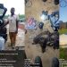 Troops Foil Terrorist Attack, Rescue Two Kidnap Victims in Sokoto