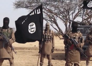 Terrorists Kill Nine Passengers in Plateau Bus Attack