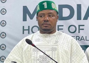 Labour Party Lawmaker Agbese Leads New Coalition in Support of Tinubu ‎