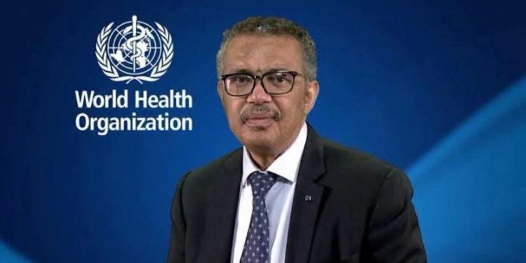 Germany Campaign for Seat on UN Human Rights 