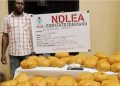 NDLEA Arrests Mechanic for ‘Using Workshop to Store Cannabis, Meth’ in Edo